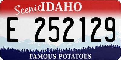 ID license plate E252129