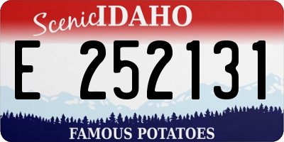ID license plate E252131