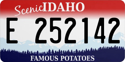 ID license plate E252142