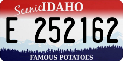 ID license plate E252162