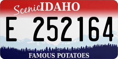 ID license plate E252164