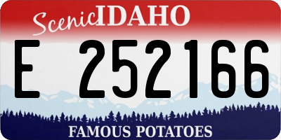 ID license plate E252166