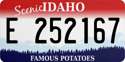 ID license plate E252167