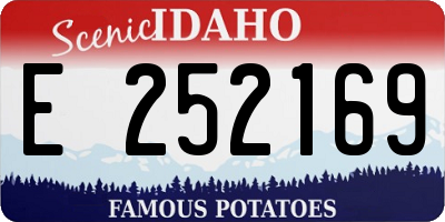 ID license plate E252169