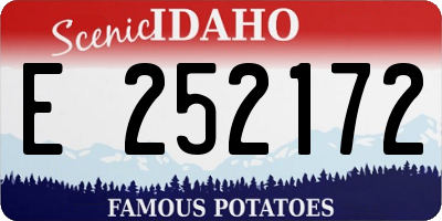 ID license plate E252172