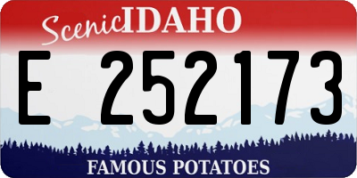 ID license plate E252173