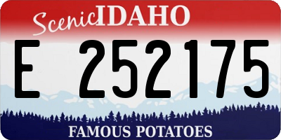 ID license plate E252175