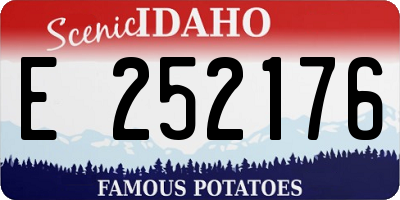 ID license plate E252176