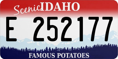 ID license plate E252177