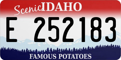 ID license plate E252183