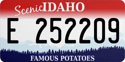 ID license plate E252209