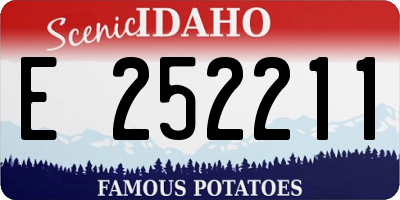 ID license plate E252211