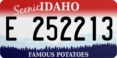 ID license plate E252213