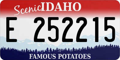ID license plate E252215