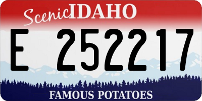 ID license plate E252217