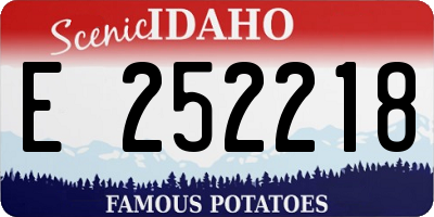 ID license plate E252218