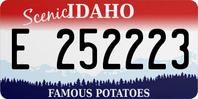 ID license plate E252223