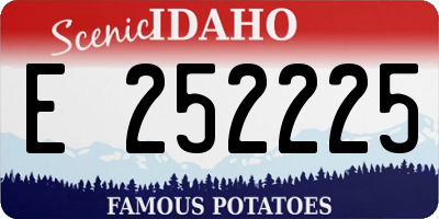 ID license plate E252225