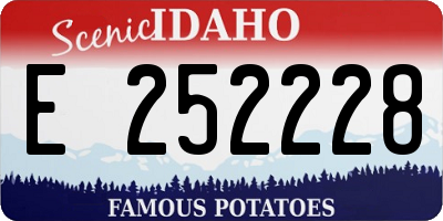 ID license plate E252228