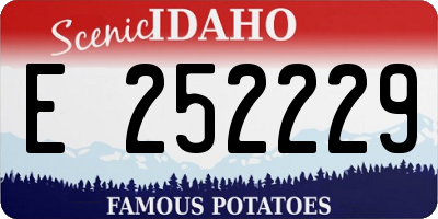 ID license plate E252229