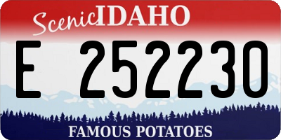 ID license plate E252230