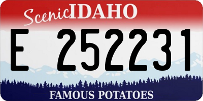 ID license plate E252231