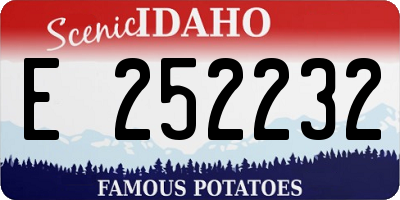 ID license plate E252232