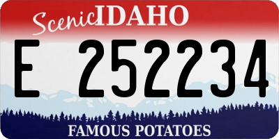 ID license plate E252234