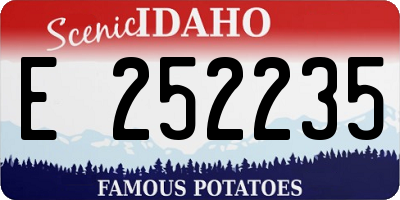 ID license plate E252235