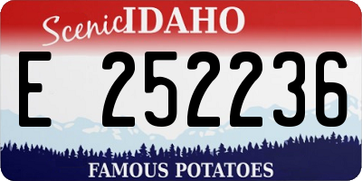 ID license plate E252236
