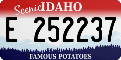 ID license plate E252237