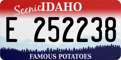 ID license plate E252238