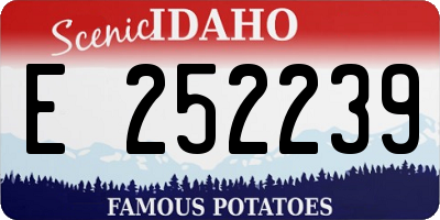 ID license plate E252239