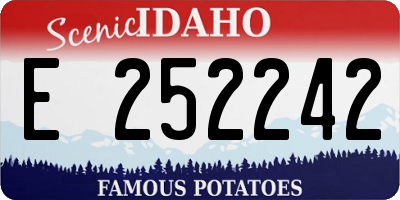 ID license plate E252242