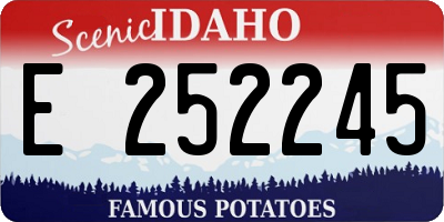 ID license plate E252245