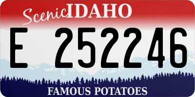 ID license plate E252246
