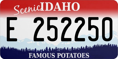 ID license plate E252250