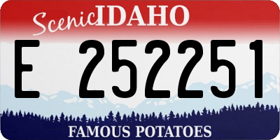 ID license plate E252251