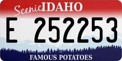 ID license plate E252253