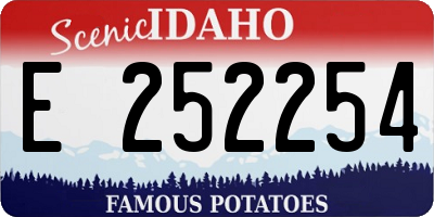 ID license plate E252254
