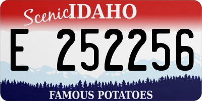 ID license plate E252256