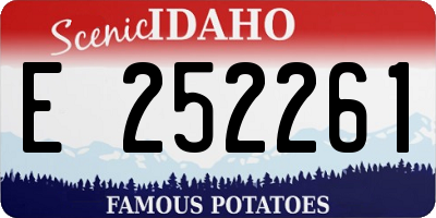ID license plate E252261