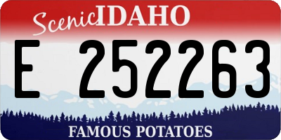 ID license plate E252263