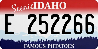 ID license plate E252266