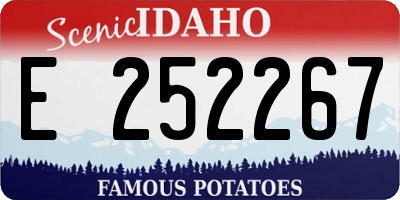 ID license plate E252267
