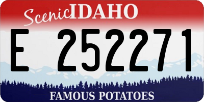 ID license plate E252271
