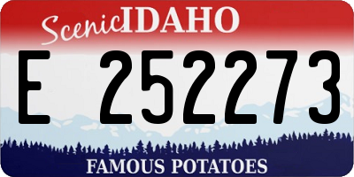 ID license plate E252273