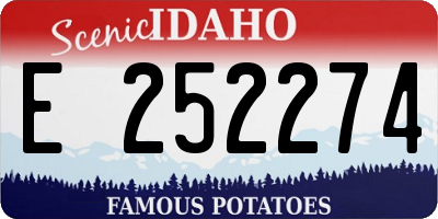 ID license plate E252274