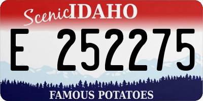 ID license plate E252275