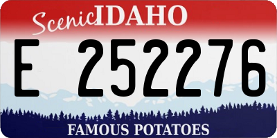 ID license plate E252276